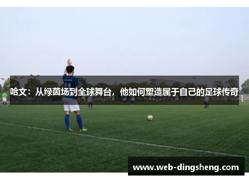 哈文：从绿茵场到全球舞台，他如何塑造属于自己的足球传奇