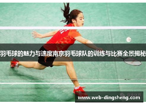 羽毛球的魅力与速度南京羽毛球队的训练与比赛全景揭秘