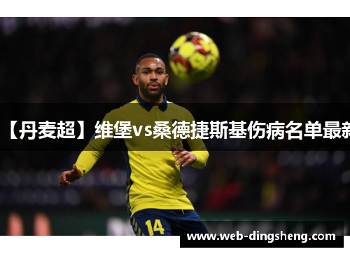 【丹麦超】维堡vs桑德捷斯基伤病名单最新